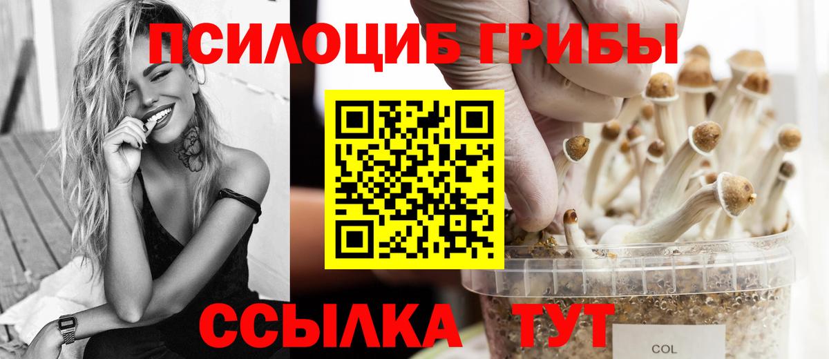 Галлюциногенные грибы MAGIC MUSHROOMS Мегион
